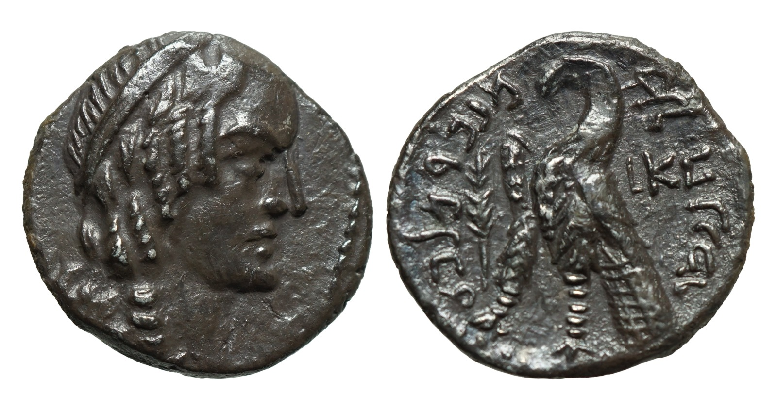 Malichus I Nabataean drachm with eagle and palm frond